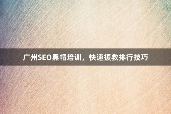 广州SEO黑帽培训，快速援救排行技巧