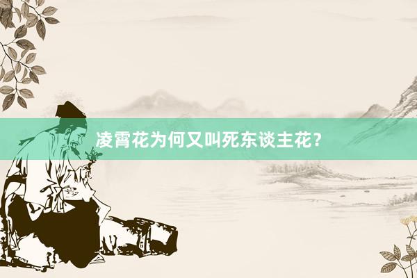 凌霄花为何又叫死东谈主花？