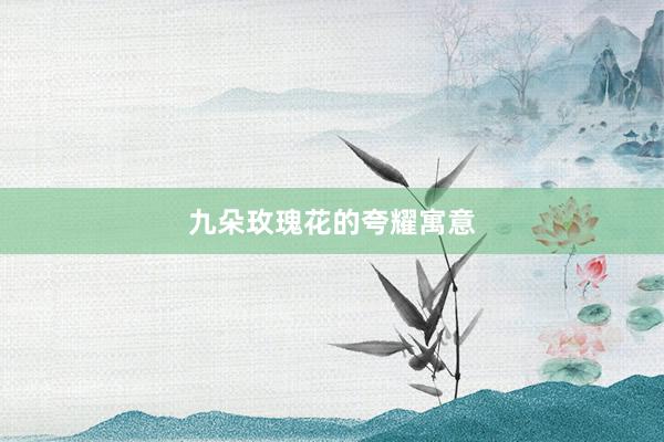 九朵玫瑰花的夸耀寓意