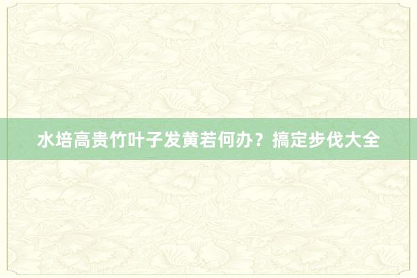水培高贵竹叶子发黄若何办？搞定步伐大全