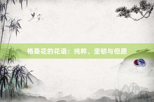 格桑花的花语：纯粹、坚韧与但愿